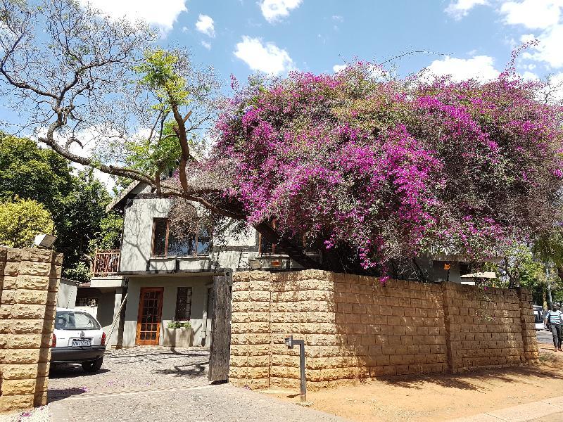 440@Brooklyn Hotel Pretoria-Noord Buitenkant foto